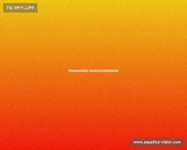 巴黎奥运会电子竞技游戏项目 《数字激擎：虚拟赛场上的奥林匹克新章》